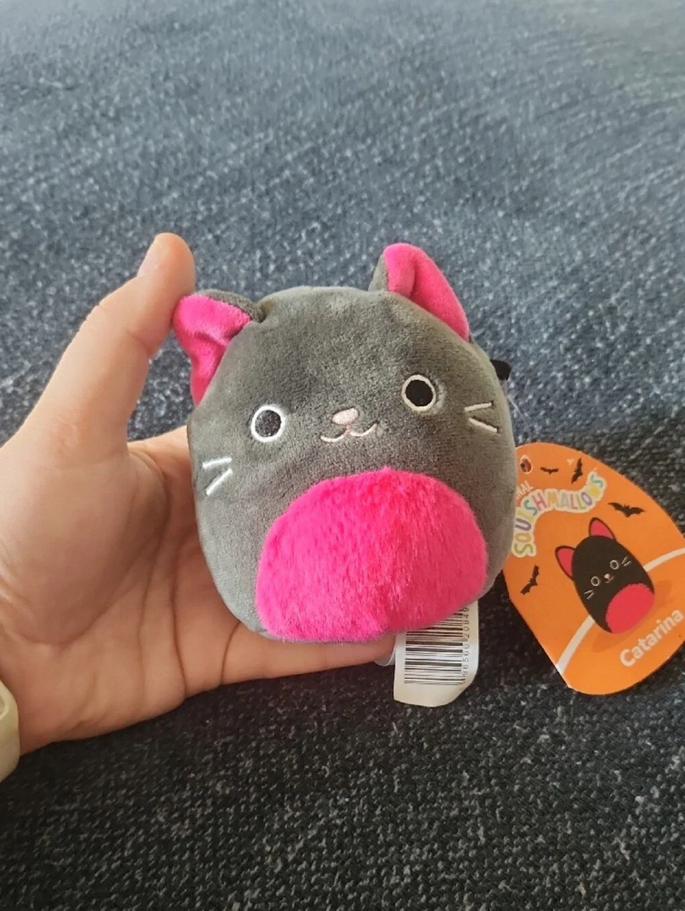 Squishmallows Gray Plush Cat Toy with Bright Pink Accents